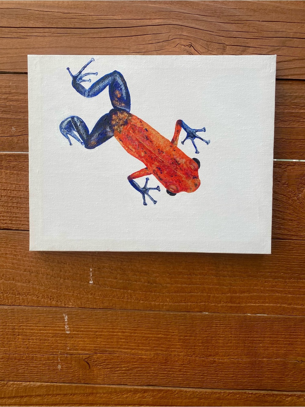 Handmade poison dart Frog Canvas Wall Art 8x10
